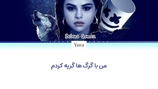 لیریک فارسی آهنگ Wolves از سلنا گومز (Selena Gomez) + متن کد گزاری شده رنگی «color coded lyrics»