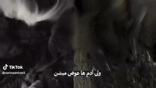 ما خیلی به هم نزدیک بودیم ولی....