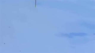 Alpine Skiing