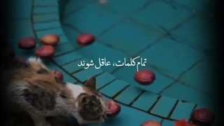 خسرو شکیبایی