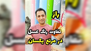 چرا رنگ عسل در خریدهای مختلف متفاوت است؟