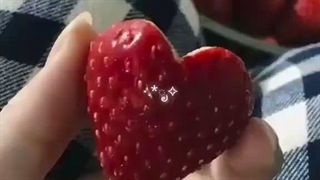 (کپشن)