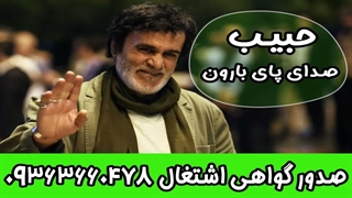 صدای پای بیرون اثری از استاد حبیب بزرگ