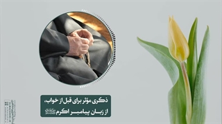ذکری مؤثر برای قبل از خواب، از زبان پیامبر اکرم«ص»(آیت الله العظمی مظاهری)