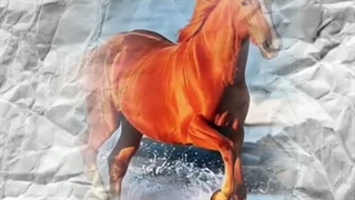 من در انکاری ترسناک