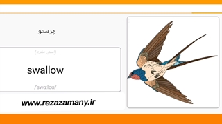صفر تا صد زبان انگلیسی درس ۱۳۲