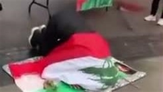 مالمو سوئد بوسه بر پرچم ایران