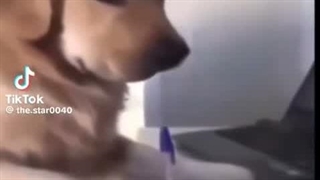من امشب....