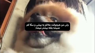 پیشی و هاپووو♡