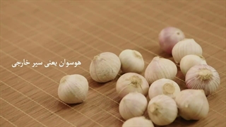 مستند «داستان انار» - قسمت اول
