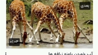 کی گفته آب خوردن من بامزه ست؟