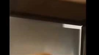 درخواست تغیر شغل دالم پیشنهاد بدید لطفا
