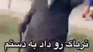 آقا بیاد همه اینا رو ببینیم