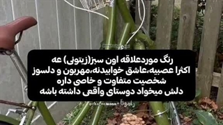 چرا من انقد سبزم؟:خنده:(اشاره به ویدیو)
