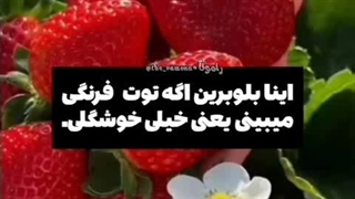 یه نفر بلخره سردردش تموم شده^^ گیلیگیلی