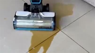 قدرت واقعی نظافت با جاروبرقی بیسل