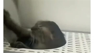 طنز