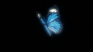 کپ برای همه نمایی ها