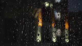 شاید به خاک مرده ای