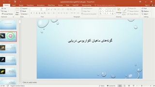 ✔ تحقیق آماده در مورد گونه‌های ماهیان آکواریومی دریایی در قالب پاورپوینت