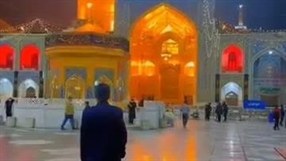 لطف امام رضا در حق حیوان ستم دیده