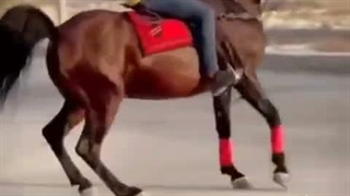 نعل