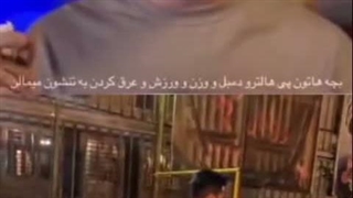 پیست رویان - اسکیت