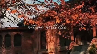 _
