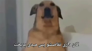 سلام مایل به زندگی هستید؟و بجای خمیازه با من بحرفید؟