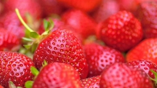 دوستای عزیزم شبتون بخیر! خواب هایی پر از توت‌فرنگی های تازه و شیرین براتون آرزو میکنم
