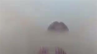 ادیت/ جیسو