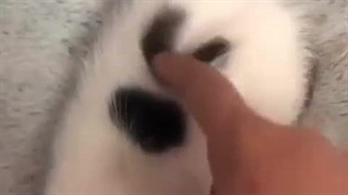♡