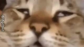 اعصاب ۰ احتمال جفت گیری ۱۰۰