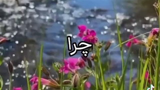 سلام من بعد از ۳ روز کامل اومدم