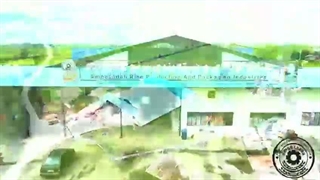 برنج