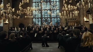 Vibe Harry Potter...