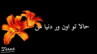 ادیتم کپ