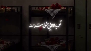 استوری محسن چاووشی : جنوب خون من است که می‌ریزد. به یاد جای خالی مردانی که دیگر  باز نمی‌گردند‌....