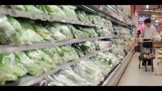 سریال چینی تابستان بی پایان قسمت 24 زیرنویس فارسی چسبیده 360p