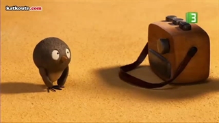 Episode 11