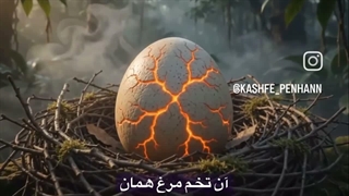 اول مرغ بود یا تخم مرغ.؟...