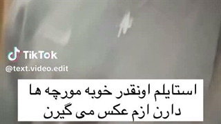 میشه اینو انقدر گزارش بزنید تا همه راحت شن؟؟