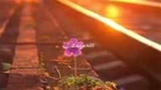 سلامم ظهر بخیر  راستییی عاشق این اهنگ اممم کپ