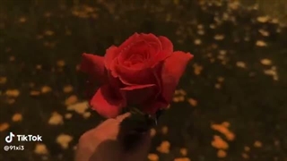 کپشن