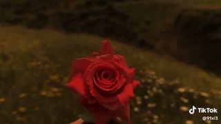 کپشن خیلی مهمه