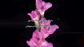 همگی کپ