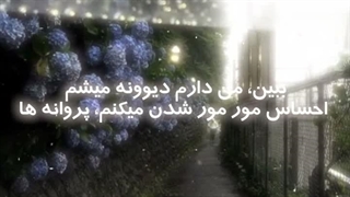 ادیتم از آهنگ Love, Maybe از بیبی مانستر (کپ)