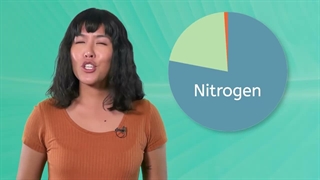 Nitrogen cycle