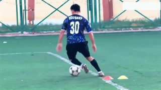 دوقلوی لئو