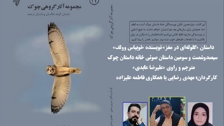 داستان «گلوله‌ای در مغز» نویسنده «توبیاس وولف»
